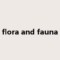 flora and fauna是什么意思