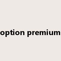 option premium是什么意思