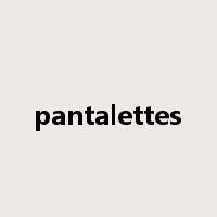 pantalettes是什么意思