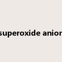 superoxide anion是什么意思