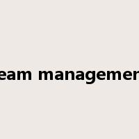 team management是什么意思