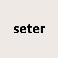 seter是什么意思