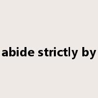 abide strictly by是什么意思