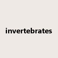 invertebrates是什么意思
