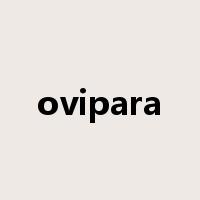 ovipara是什么意思