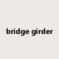 bridge girder是什么意思
