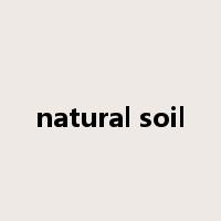 natural soil是什么意思