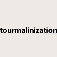 tourmalinization是什么意思