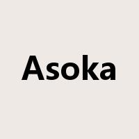 Asoka是什么意思