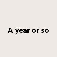 A year or so是什么意思