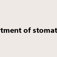 department of stomatology是什么意思