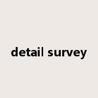 detail survey是什么意思