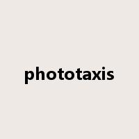 phototaxis是什么意思