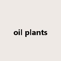 oil plants是什么意思