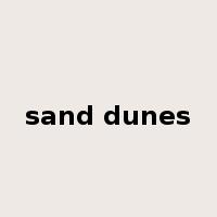 sand dunes是什么意思