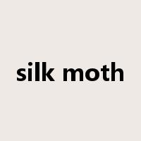 silk moth是什么意思