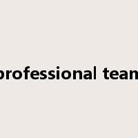 professional team是什么意思