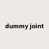 dummy joint是什么意思