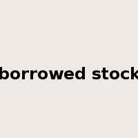 borrowed stock是什么意思