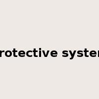 protective system是什么意思