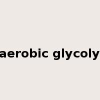 anaerobic glycolysis是什么意思