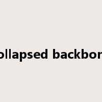 collapsed backbone是什么意思