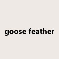 goose feather是什么意思