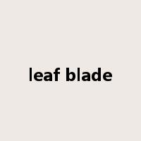 leaf blade是什么意思