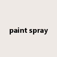 paint spray是什么意思
