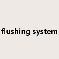 flushing system是什么意思
