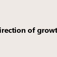 direction of growth是什么意思