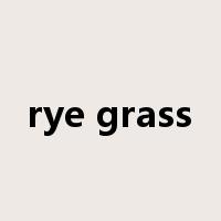 rye grass是什么意思