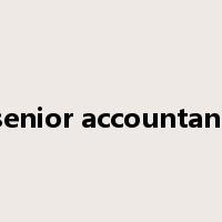 senior accountant是什么意思