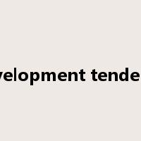 development tendency是什么意思
