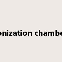 ionization chamber是什么意思