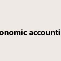 economic accounting是什么意思