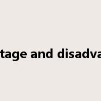 advantage and disadvantage是什么意思