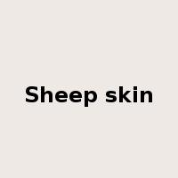 Sheep skin是什么意思