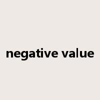negative value是什么意思