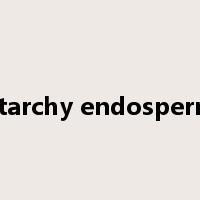 Starchy endosperm是什么意思