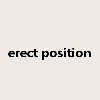 erect position是什么意思