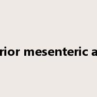 superior mesenteric artery是什么意思