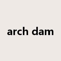arch dam是什么意思
