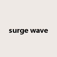 surge wave是什么意思