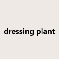 dressing plant是什么意思