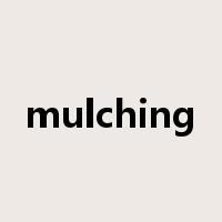 mulching是什么意思