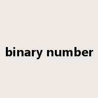 binary number是什么意思
