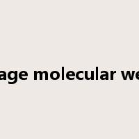 average molecular weight是什么意思