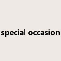 special occasion是什么意思