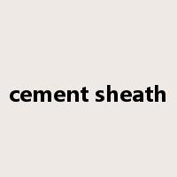 cement sheath是什么意思